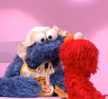 Elmo & Cookie Monster The Street We Live On