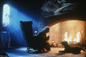 The Storyteller and his dog.