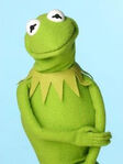 TF1-MuppetsTV-PhotoGallery-15-Kermit