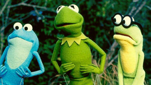 Kermit-s-swamp-years-original