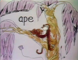 A for ape toon