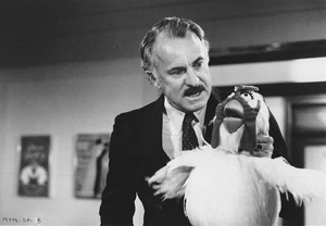 MTM-DabneyColemanCamilla