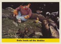 79: Ernie feeds all the duckies