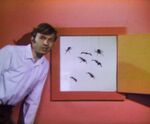 spooky spiders