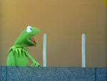 Kermit's Lectures: Between the Posts