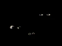 0980 03b.jpg (9 KB) Maria, Oscar, and RosebudSesame Street Episode 0700