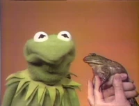 Sesame Street Episode 0277