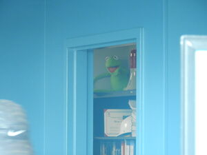 Kermit in Ripley’s Aquarium.jpg