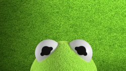 MB2018-Kermit01