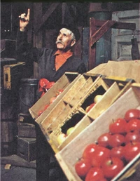 Mr. Macintosh, fruit