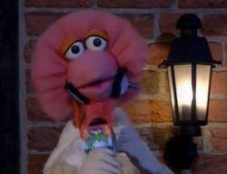 Tiffy reporting from Sesame Street Stays Up Late!