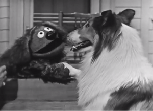  and Lassie on The Jimmy Dean Show