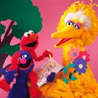 15056650 346804689018550 3057901283210952704 n.jpg (119 KB)