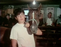 Film.AnimalAuction02