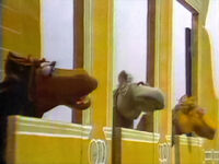 FugueforTinhorns-Horses.jpg (168 KB) Fugue for Tinhorns