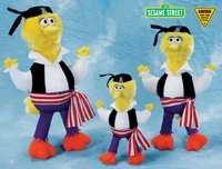 Big Bird Pirate