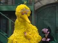 A doll helps Big Bird count to 40 Episode 3535