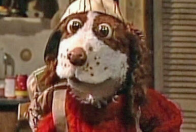 Ace Yu | Muppet Wiki | Fandom