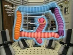 Wormsinspace.shapes.jpg (181 KB) Worms in Shapes
