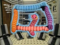 Wormsinspace.shapes.jpg (181 KB) Shapes(First: Episode 3756)