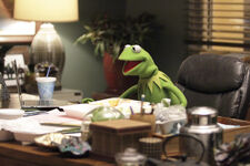 Kermit the Frog Executive Producer