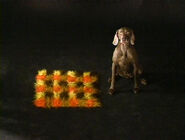 (First: Episode 2635)