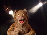 MovieMania-pussycat