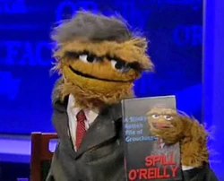 Spill O'Reilly
