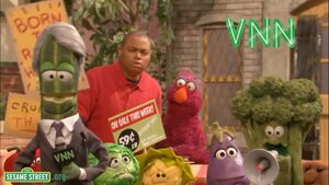 VNN.jpg