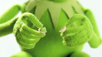 Kermit ad (2011)