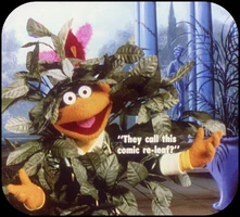 B4 Scooter as a Poetic Tree