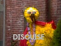 Bigbird-disguise