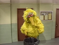 Bigbird-whatsyourname