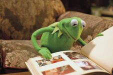 Muppets2011-KermitPhotoAlbum