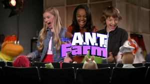 Muppets ANT Farm