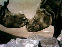 Song.prettybaby.jpg (338 KB) "Pretty Baby"