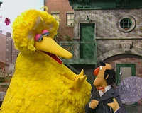 4119d.jpg (224 KB) Big Bird's Fairy GodpersonEpisode 4119