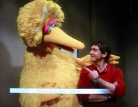 Banderas and Big Bird on Martha.