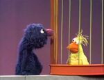 Grover: BIRD (zoo)