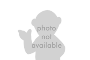 Photo-not-available.png
