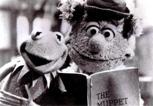 Kermit and fozzie tmm