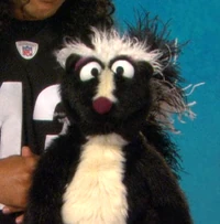 skunk in Word of the Day: Fragrance