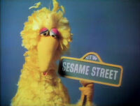 Big Bird Episode 0158