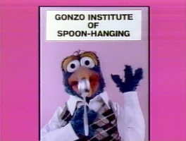 Neat Stuff (photo shoot)