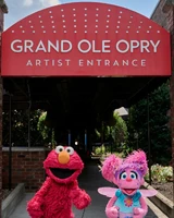 Grand Ole Opry 2025 1.jpg (344 KB)