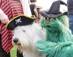 HandmadeHalloween-Rosita