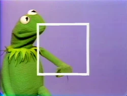 KermitMagicFingerSquare