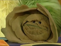 Lettuce.jpg (18 KB) Lettuce The Muppet Show and Mopatop's Shop