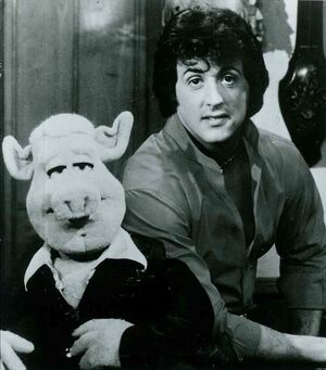 Stallone05