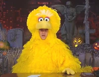 Kimmel-halloween1.jpg (142 KB) Jimmy Kimmel as Big Bird October 30, 2009